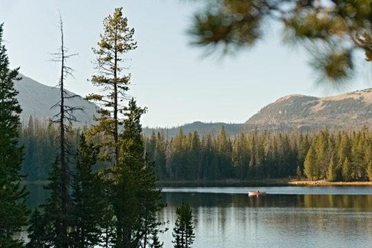 Portrait by Hayli Jo