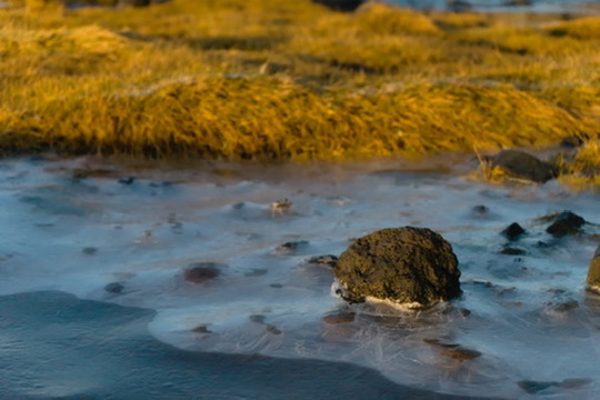 Portrait by Hayli Jo