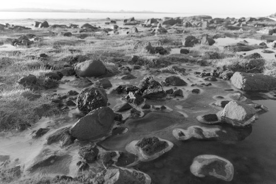 Portrait by Hayli Jo