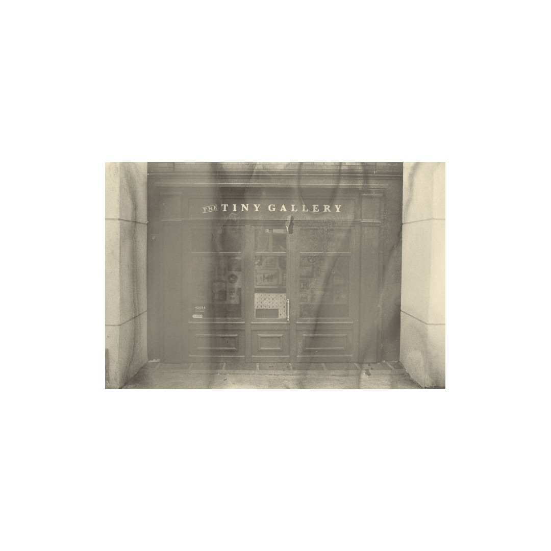 Portrait by Hayli Jo